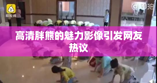 高清胖熊的魅力影像引发网友热议