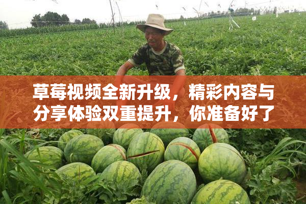 草莓视频全新升级，精彩内容与分享体验双重提升，你准备好了吗？