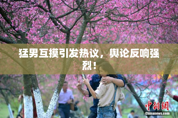 猛男互摸引发热议，舆论反响强烈！