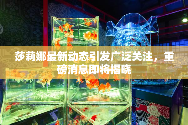 莎莉娜最新动态引发广泛关注，重磅消息即将揭晓