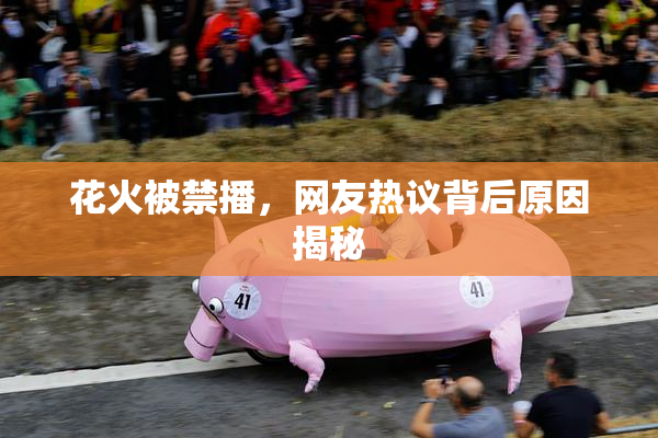 花火被禁播，网友热议背后原因揭秘