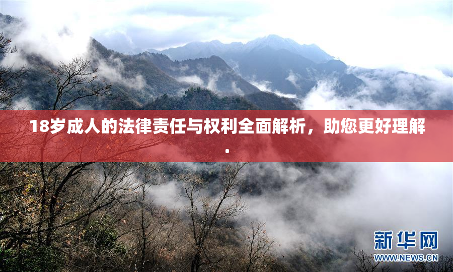 18岁成人的法律责任与权利全面解析，助您更好理解.