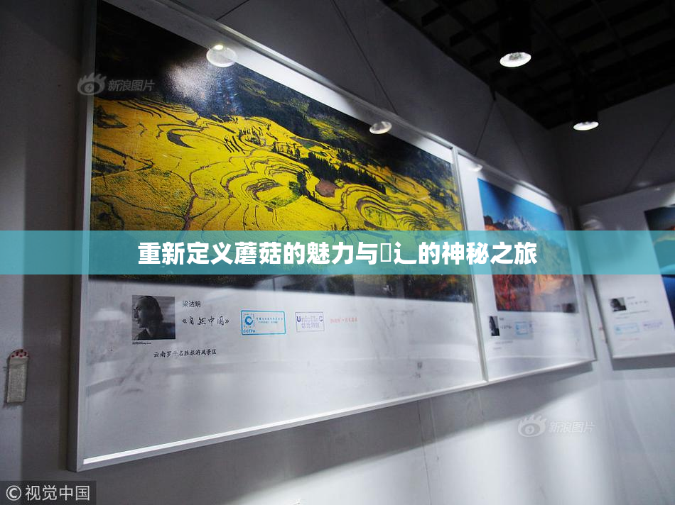 重新定义蘑菇的魅力与喿辶的神秘之旅