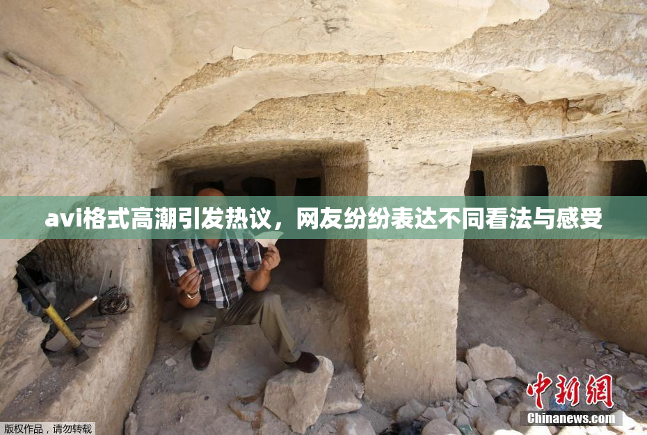 avi格式高潮引发热议，网友纷纷表达不同看法与感受