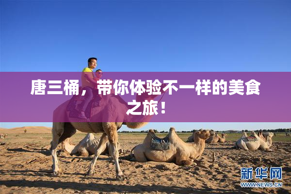 唐三桶，带你体验不一样的美食之旅！
