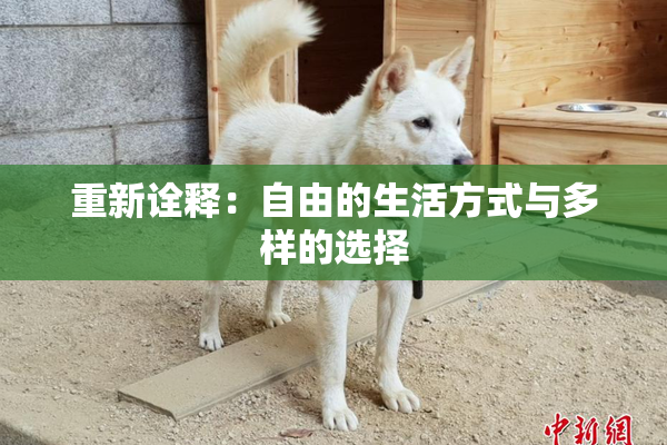 重新诠释：自由的生活方式与多样的选择