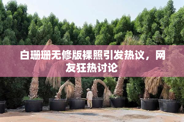 白珊珊无修版裸照引发热议，网友狂热讨论