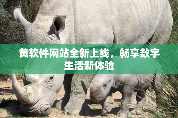 黄软件网站全新上线，畅享数字生活新体验