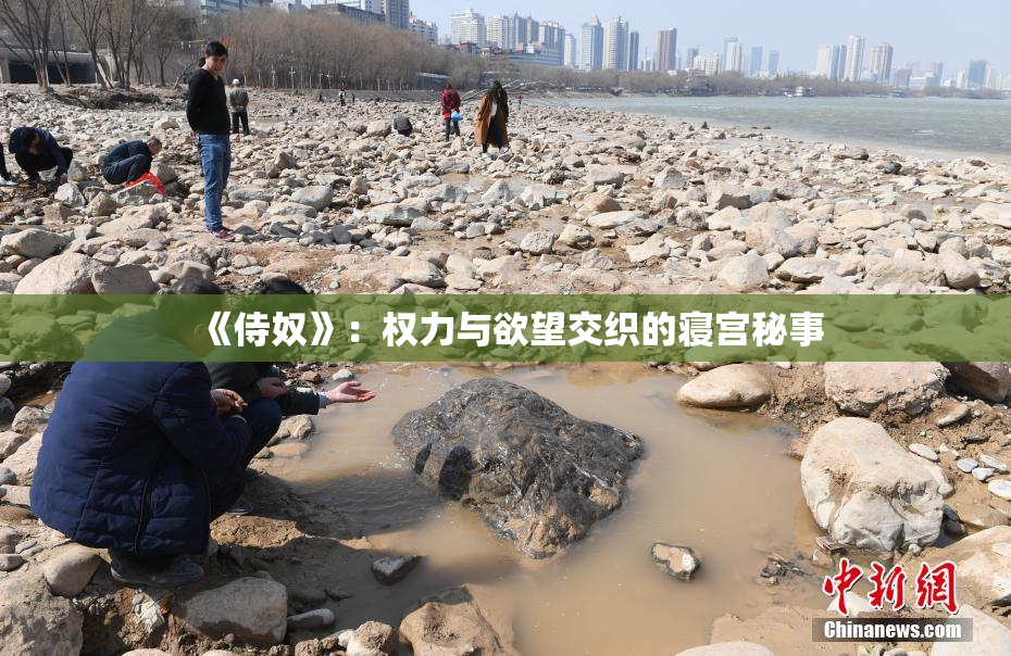 《侍奴》：权力与欲望交织的寝宫秘事