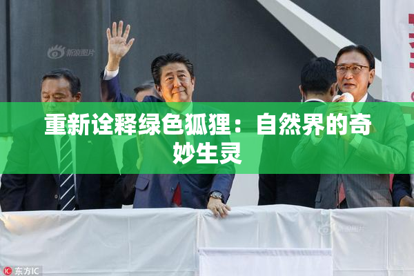 重新诠释绿色狐狸：自然界的奇妙生灵