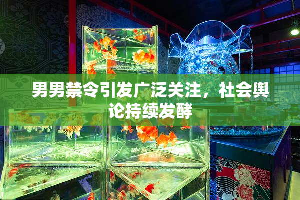 男男禁令引发广泛关注，社会舆论持续发酵
