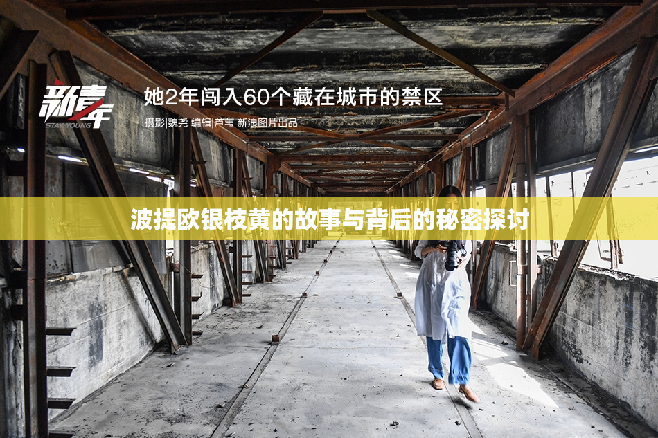 波提欧银枝黄的故事与背后的秘密探讨