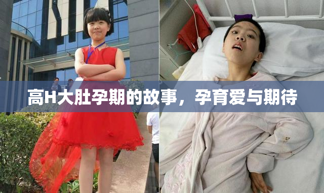 高H大肚孕期的故事，孕育爱与期待