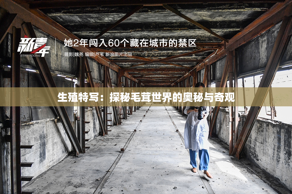 生殖特写：探秘毛茸世界的奥秘与奇观