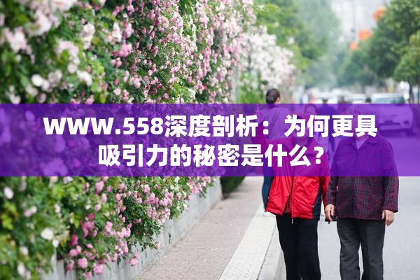WWW.558深度剖析：为何更具吸引力的秘密是什么？