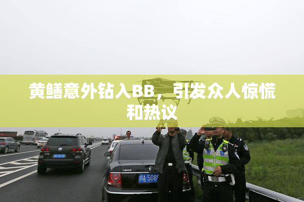 黄鳝意外钻入BB，引发众人惊慌和热议