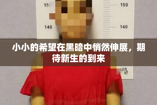 小小的希望在黑暗中悄然伸展，期待新生的到来