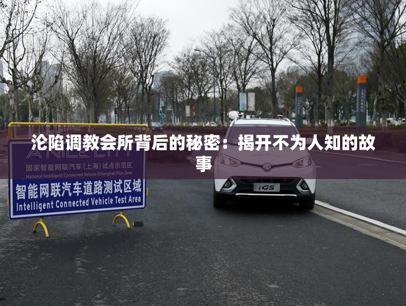 沦陷调教会所背后的秘密：揭开不为人知的故事