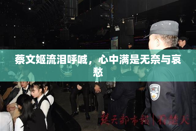 蔡文姬流泪呼喊，心中满是无奈与哀愁