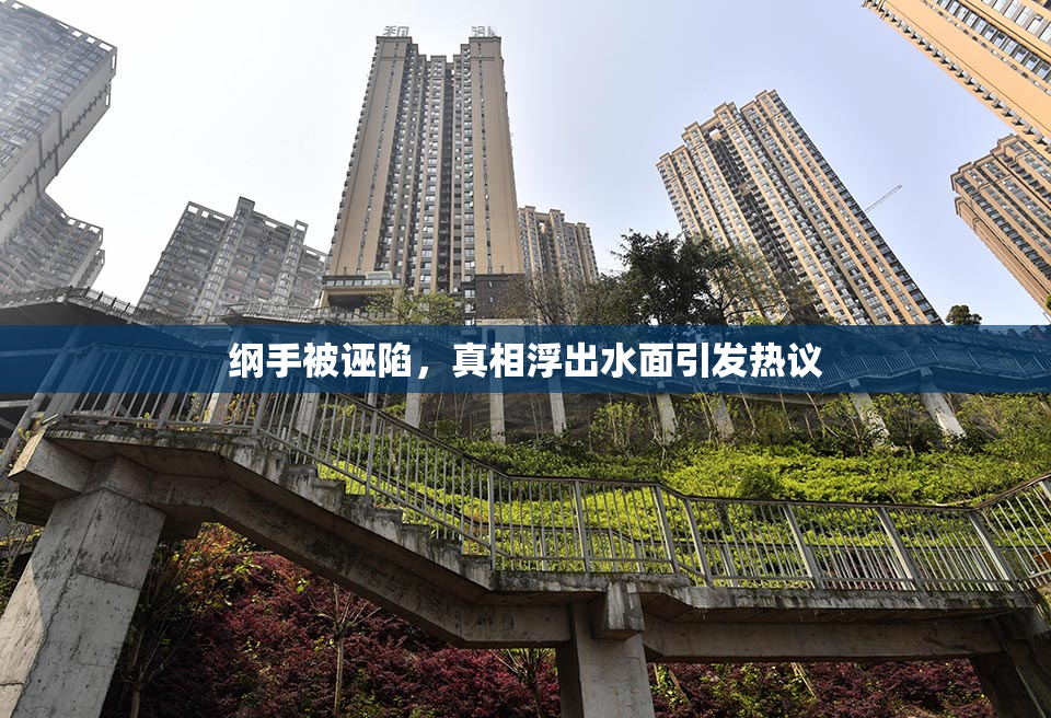 纲手被诬陷，真相浮出水面引发热议
