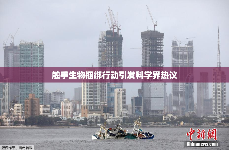 触手生物捆绑行动引发科学界热议