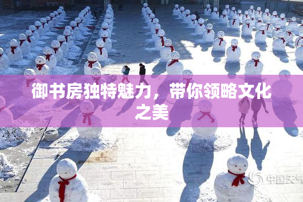 御书房独特魅力，带你领略文化之美