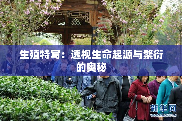 生殖特写：透视生命起源与繁衍的奥秘