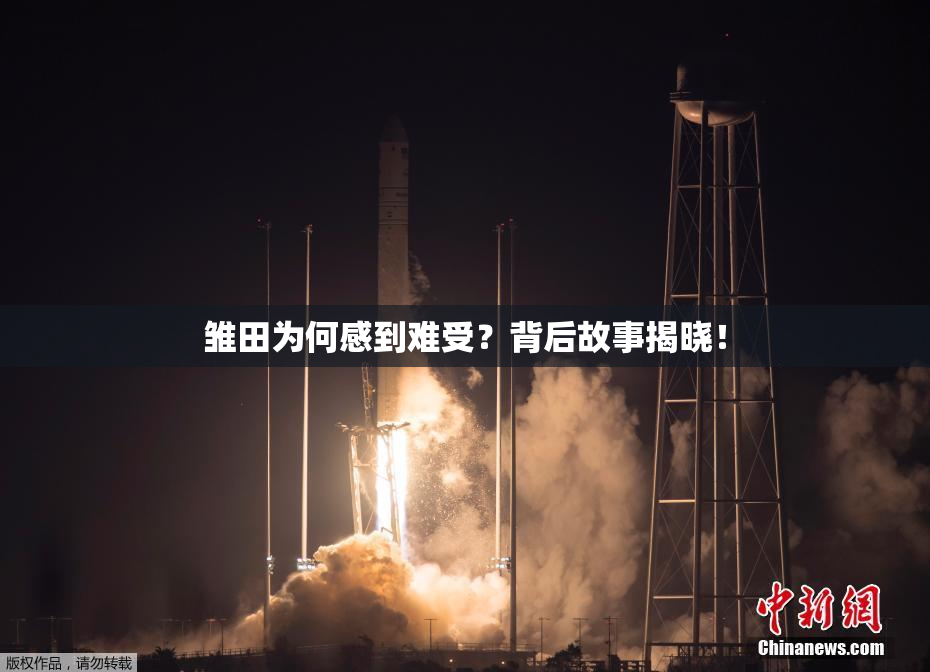 雏田为何感到难受？背后故事揭晓！