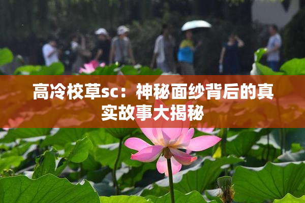 高冷校草sc：神秘面纱背后的真实故事大揭秘