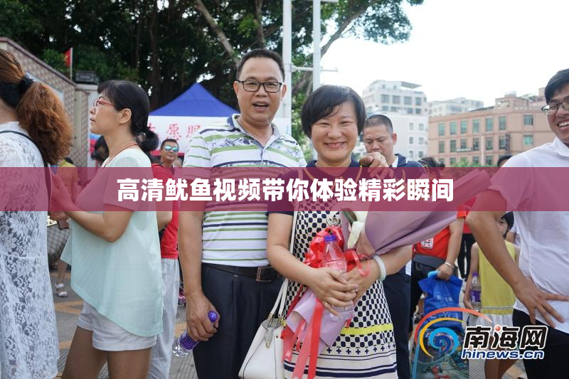 高清鱿鱼视频带你体验精彩瞬间