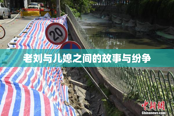 老刘与儿媳之间的故事与纷争