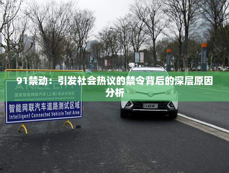 91禁动：引发社会热议的禁令背后的深层原因分析
