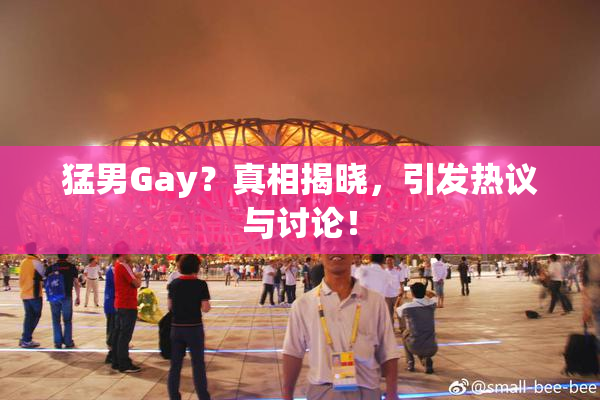 猛男Gay？真相揭晓，引发热议与讨论！