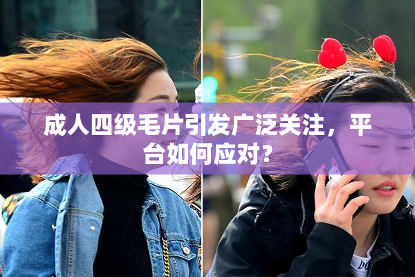 成人四级毛片引发广泛关注，平台如何应对？