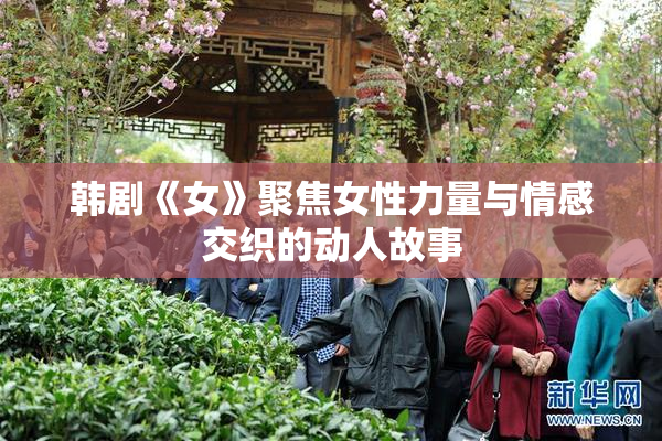 韩剧《女》聚焦女性力量与情感交织的动人故事