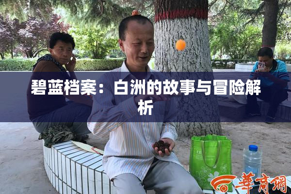碧蓝档案：白洲的故事与冒险解析