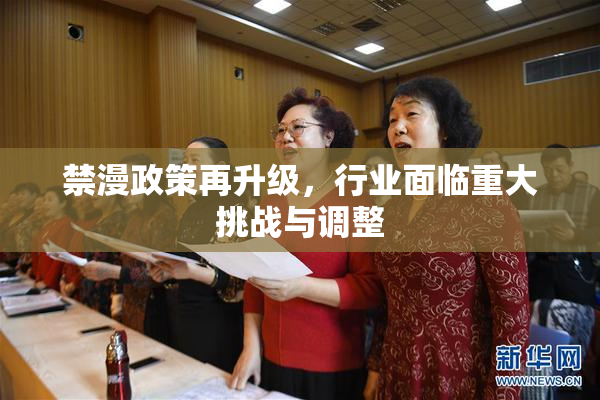 禁漫政策再升级，行业面临重大挑战与调整