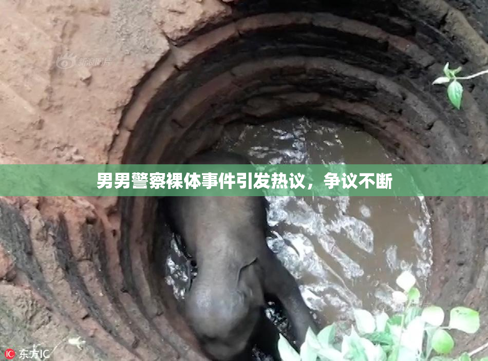 男男警察裸体事件引发热议，争议不断