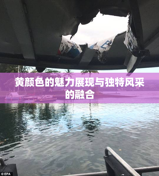 黄颜色的魅力展现与独特风采的融合