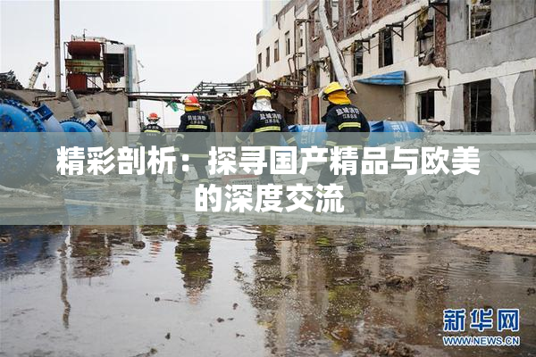 精彩剖析：探寻国产精品与欧美的深度交流