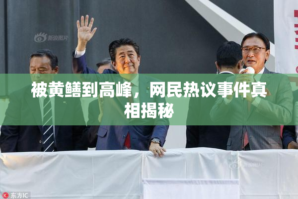 被黄鳝到高峰，网民热议事件真相揭秘