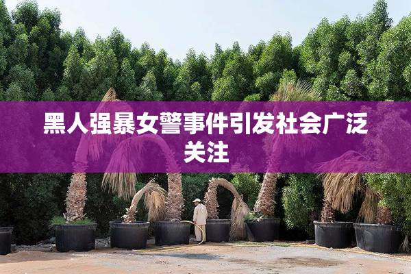 黑人强暴女警事件引发社会广泛关注