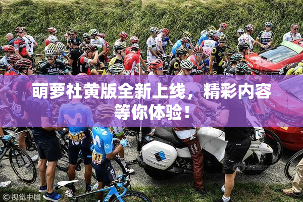 萌萝社黄版全新上线，精彩内容等你体验！