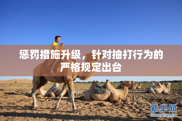 惩罚措施升级，针对抽打行为的严格规定出台