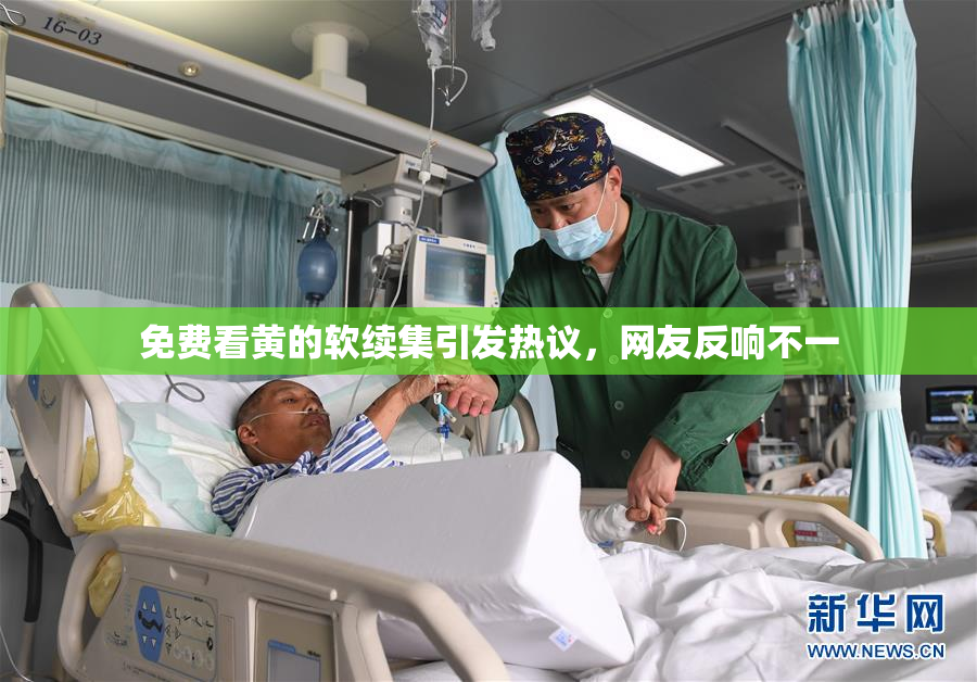 免费看黄的软续集引发热议，网友反响不一