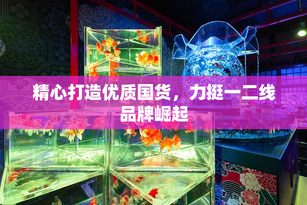 精心打造优质国货，力挺一二线品牌崛起