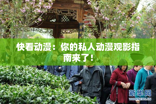 快看动漫：你的私人动漫观影指南来了！