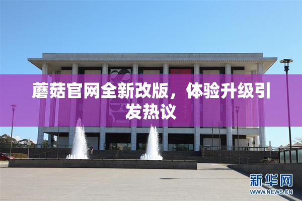蘑菇官网全新改版，体验升级引发热议