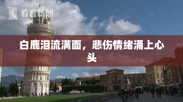 白鹿泪流满面，悲伤情绪涌上心头