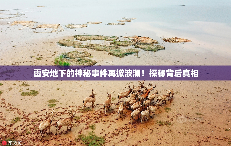 雷安地下的神秘事件再掀波澜！探秘背后真相